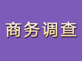 剑川商务调查